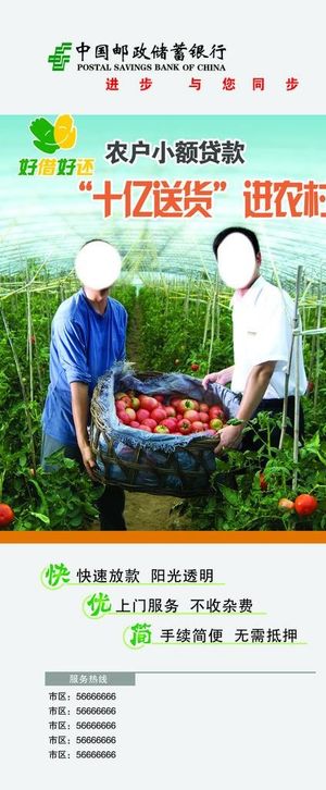 邮政展板设计图片