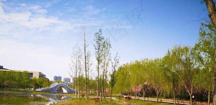 湿地公园图片