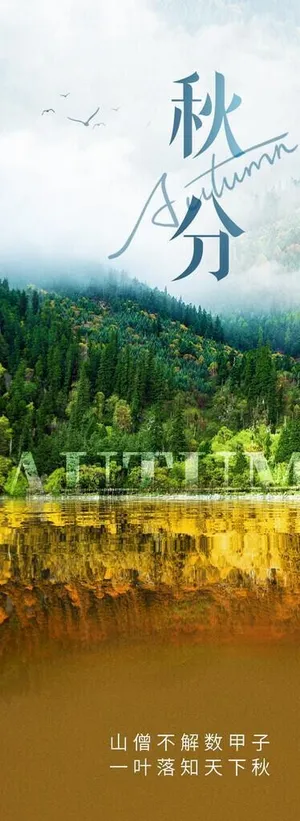 秋分海报图片