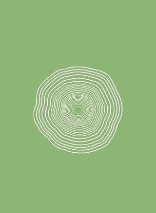 矢量树木年轮图片