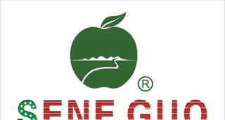 圣依果男装LOGO图片