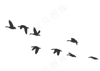 大雁元素图片