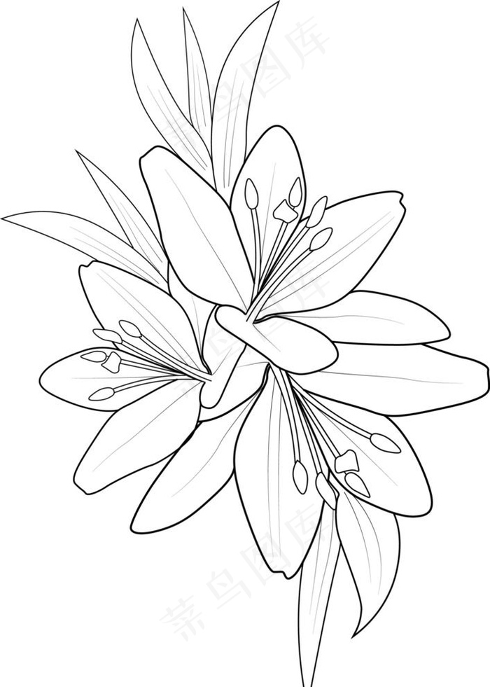 卡通百合花图片ai矢量模版下载