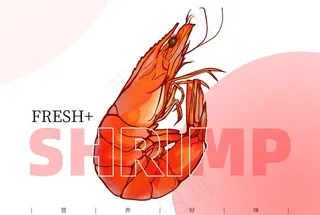 虾图片