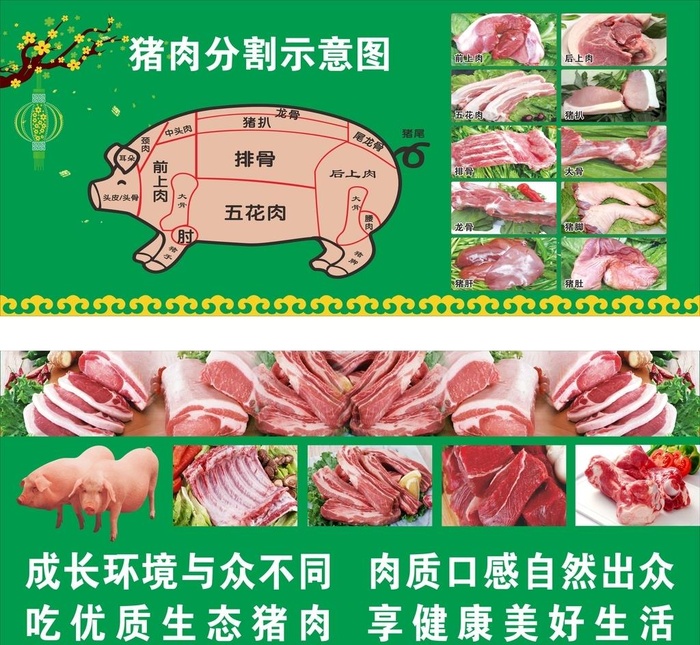 猪肉分割图图片