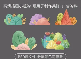 插画小植物图片