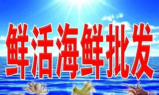 鲜活海鲜批发图片