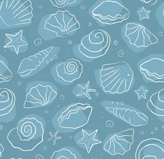 贝壳图案图片