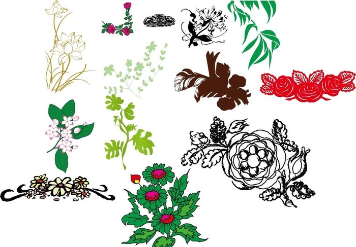 矢量花图片
