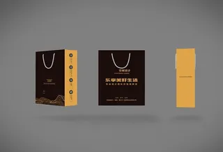 家装公司手提袋图片