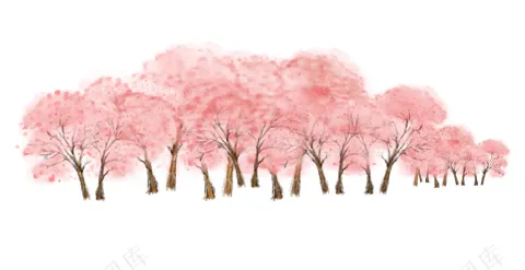 樱花免扣图