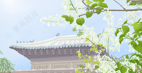 插画-花卉植物